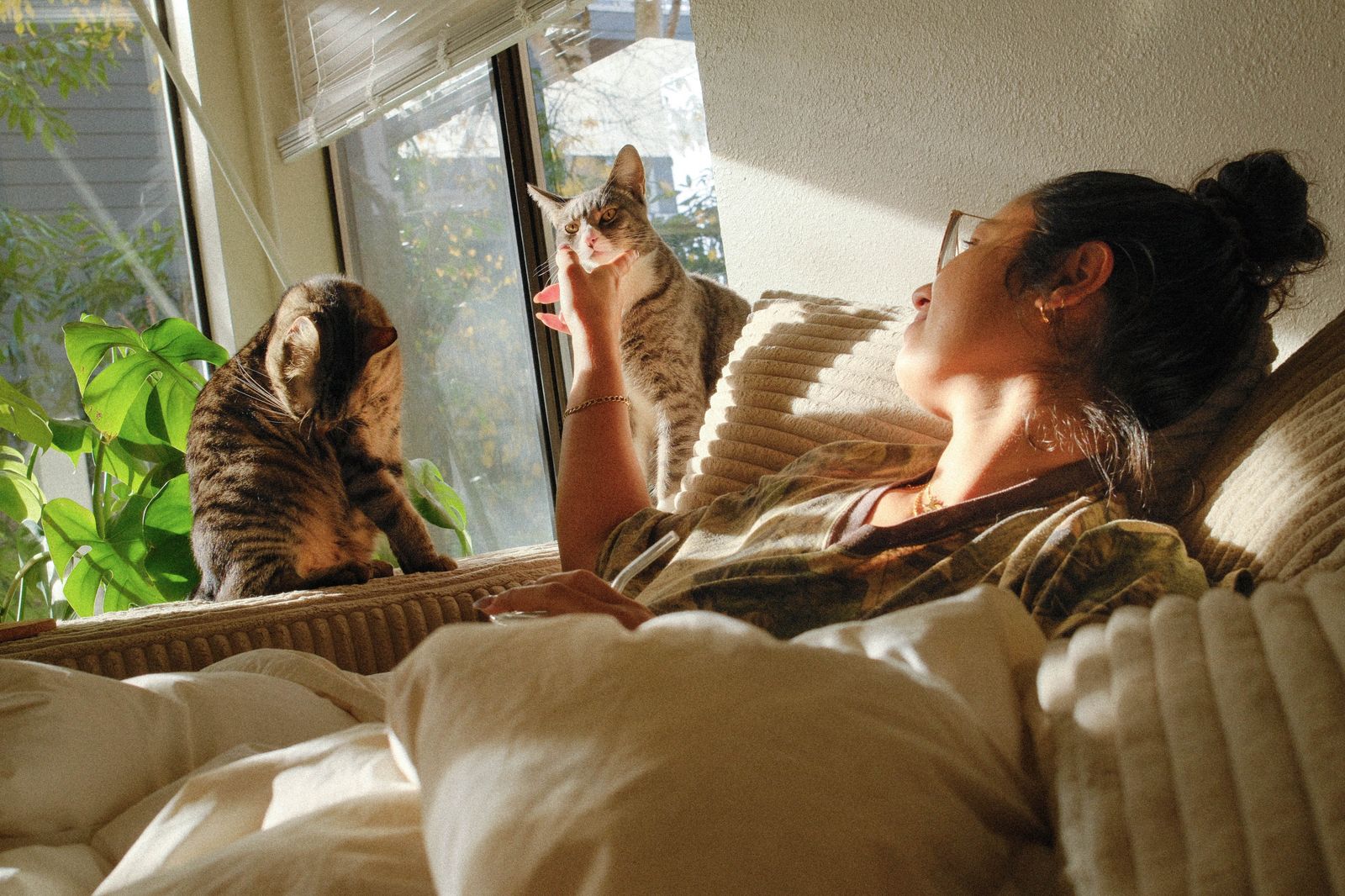 kai with the kitties